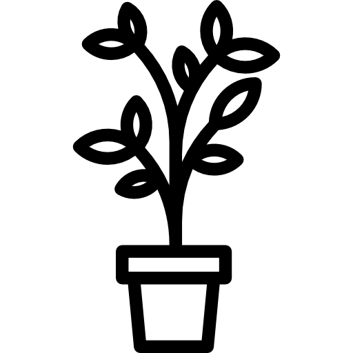 aojo